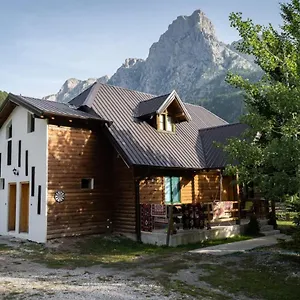 Delight Albania