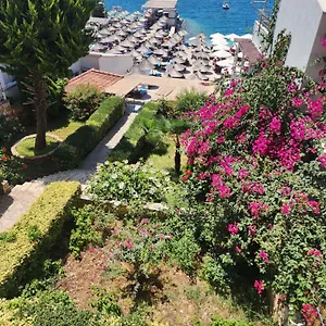 Amelie's & Albania